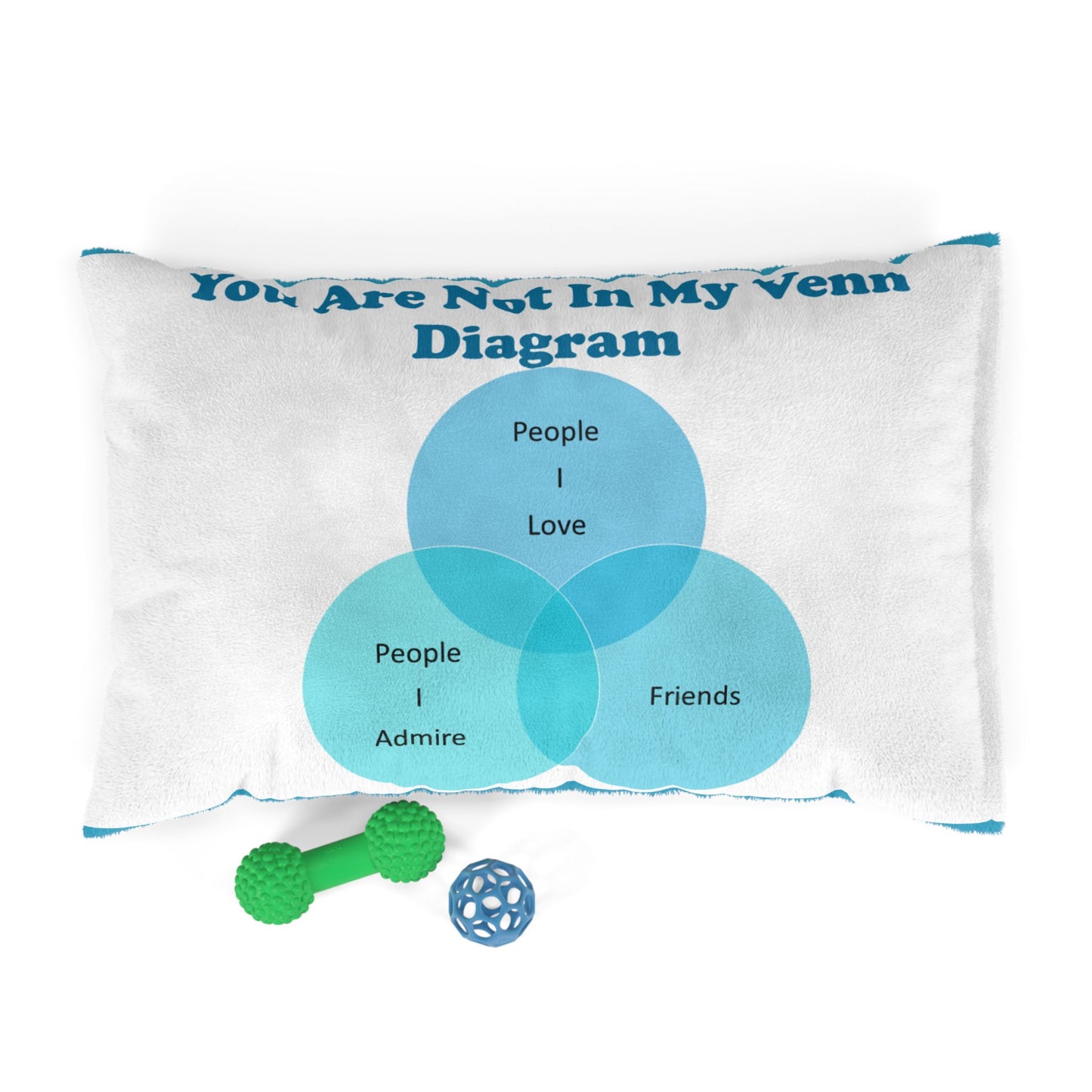 You Are Not In My Venn Diagram Bright Blue Pet Bed