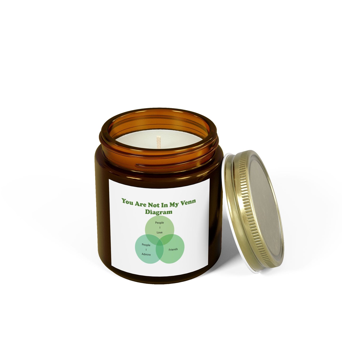 You Are Not In My Venn Diagram Green Scented Candles, Coconut Apricot Wax (4oz, 9oz)