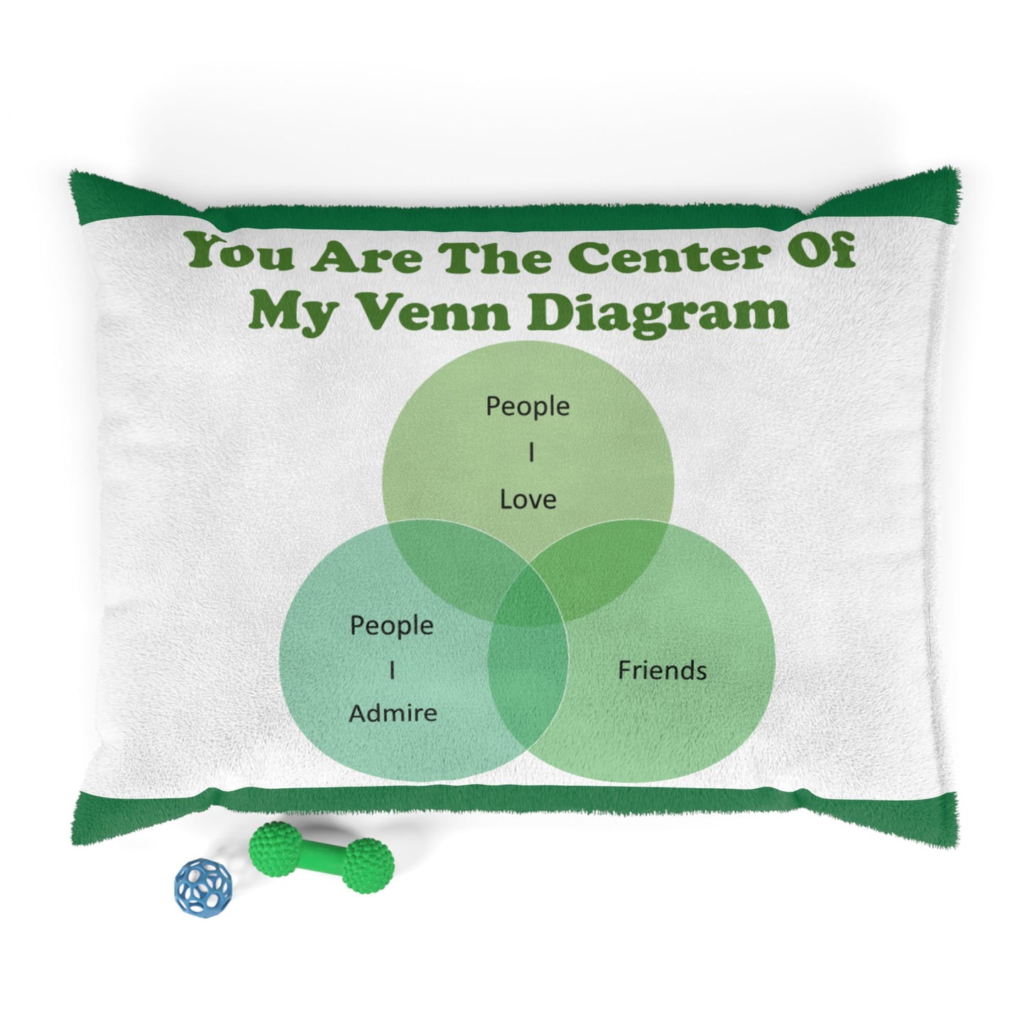 You Are The Center Of My Venn Diagram Green Pet Bed