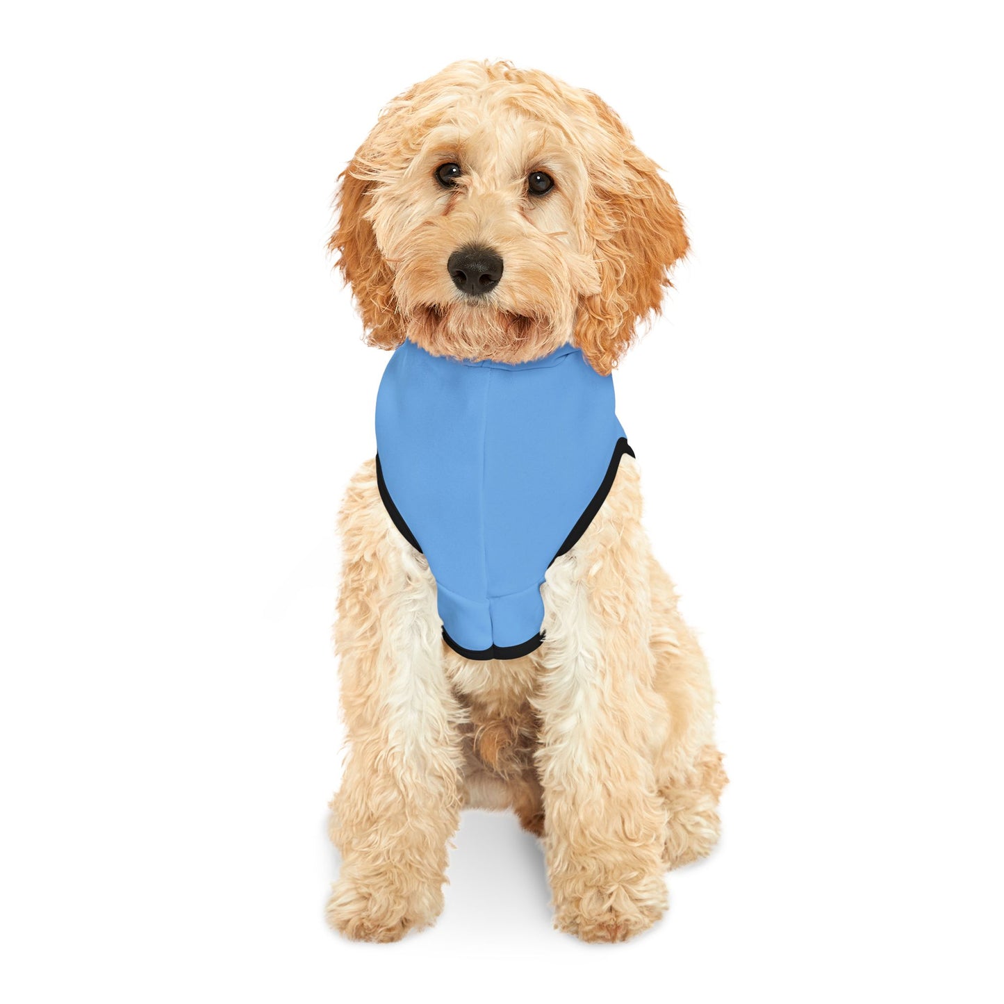 Making The Rounds Blue / Blue Pet Hoodie