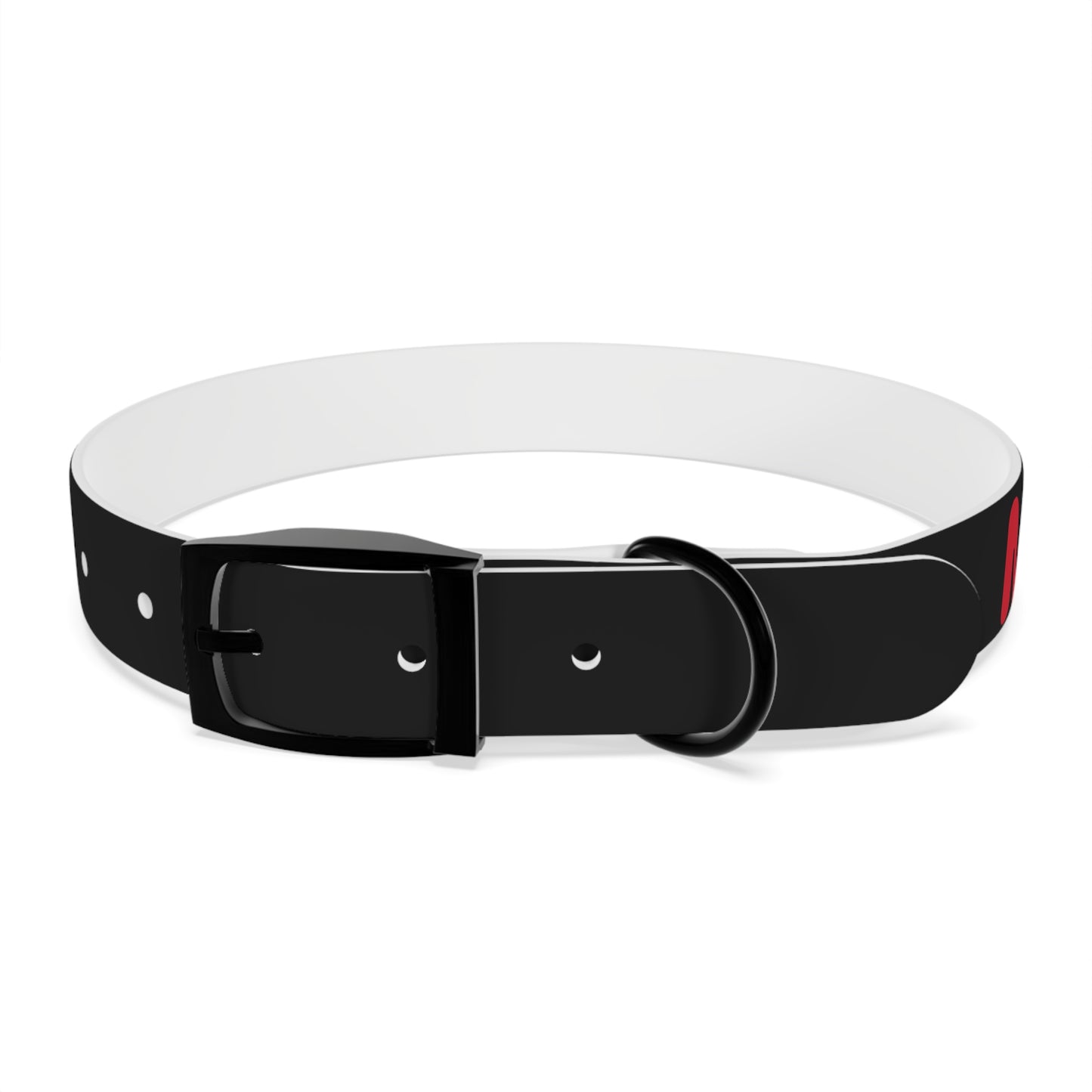 Making The Rounds Black with Red Dog Collar