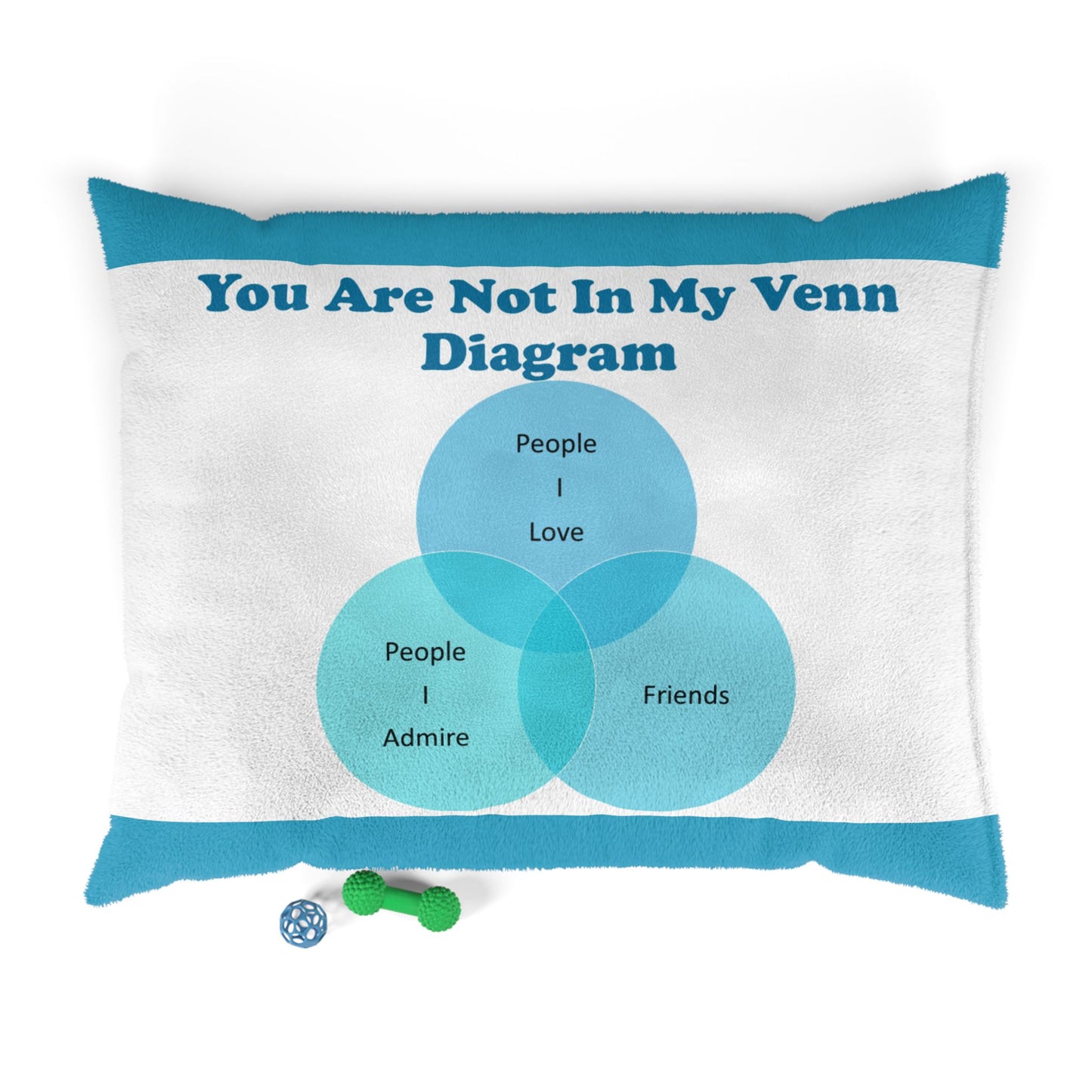 You Are Not In My Venn Diagram Bright Blue Pet Bed