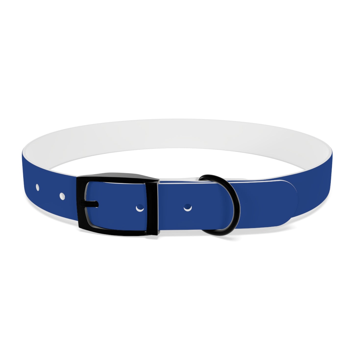 Making The Rounds Light Blue Dog Collar