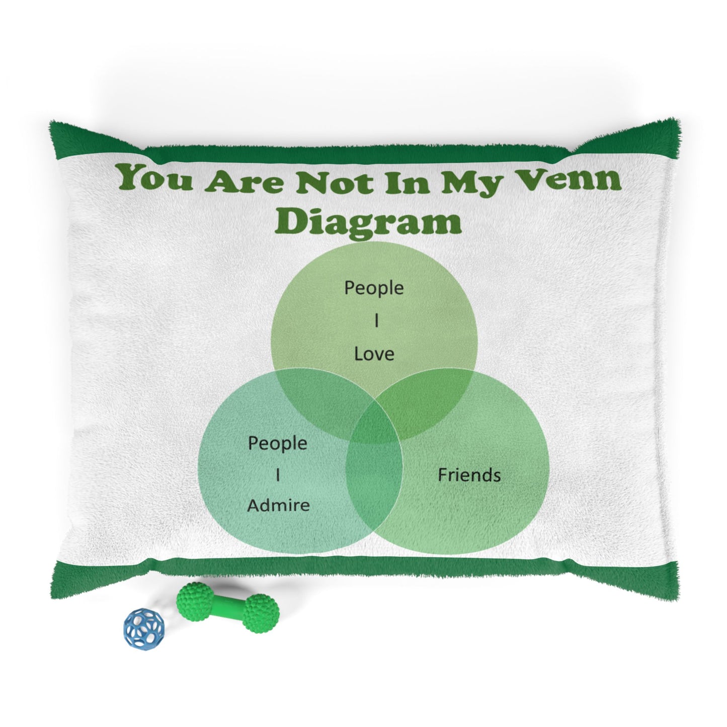 You Are Not In My Venn Diagram Green Pet Bed