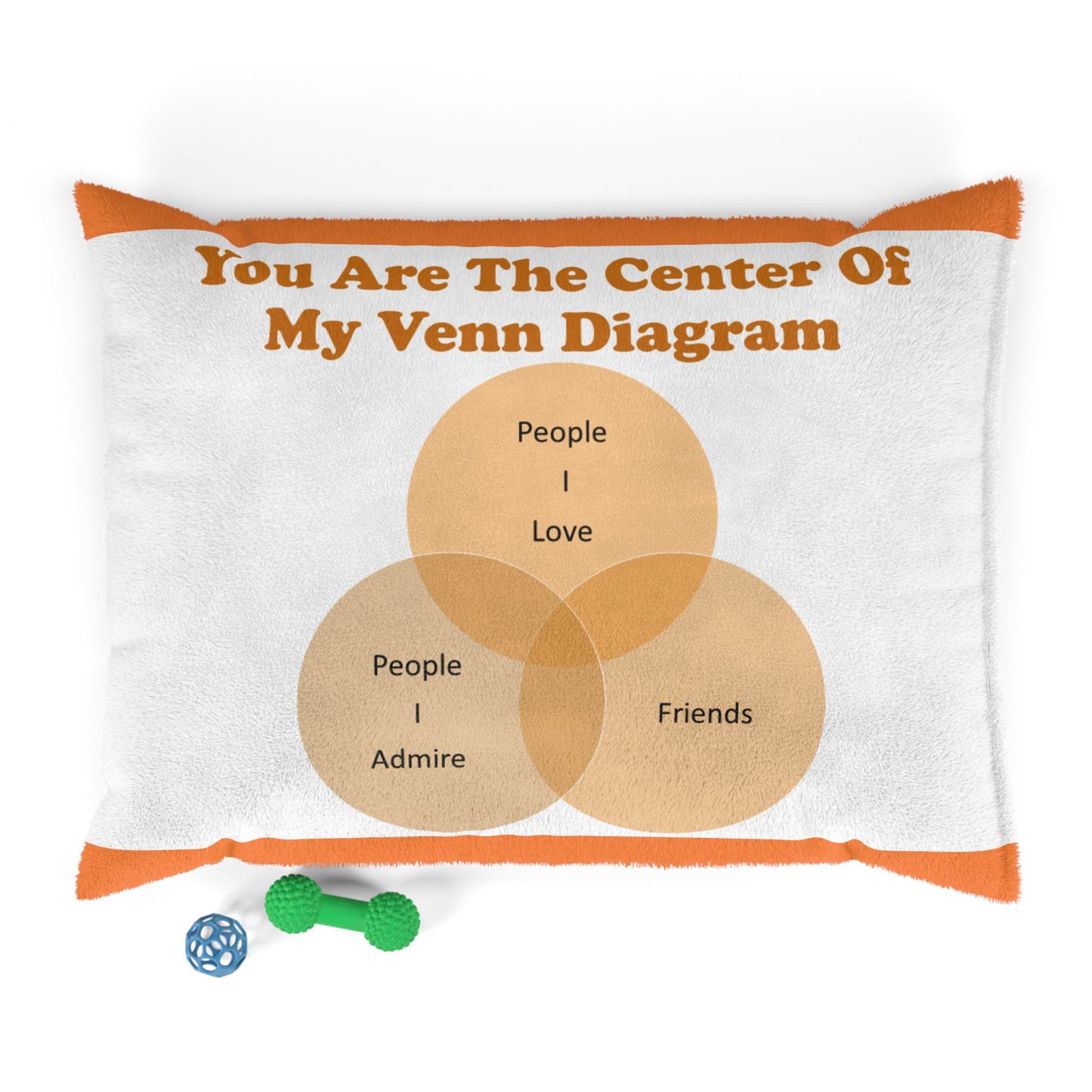 You Are The Center Of My Venn Diagram Orange Pet Bed