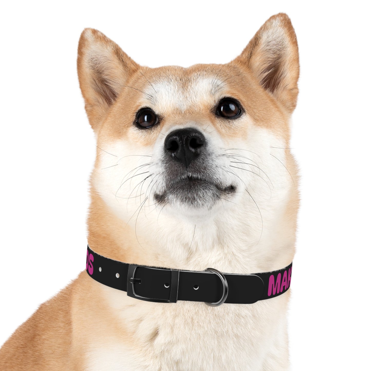 Making The Rounds Black With Pink Dog Collar