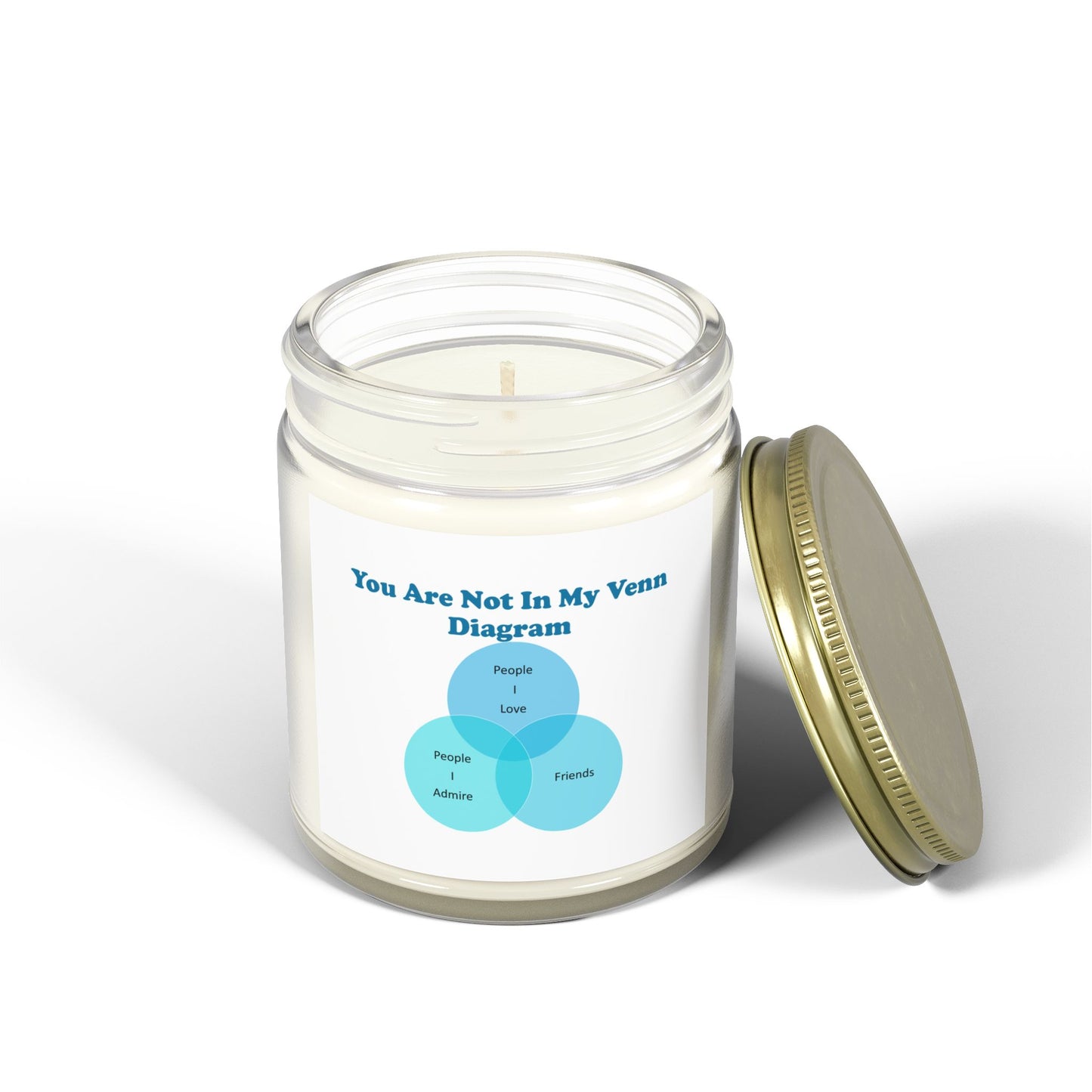 You Are Not In My Venn Diagram Blue Scented Candles, Coconut Apricot Wax (4oz, 9oz)