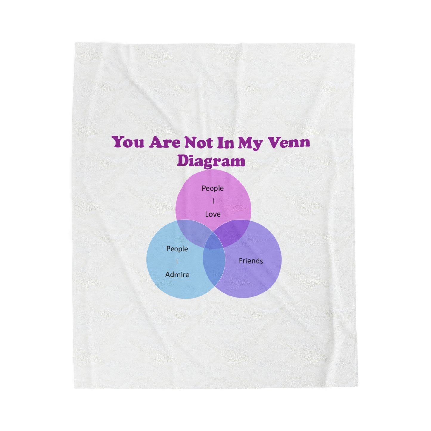 You Are Not In My Venn Diagram Blue / Purple Plush Blanket