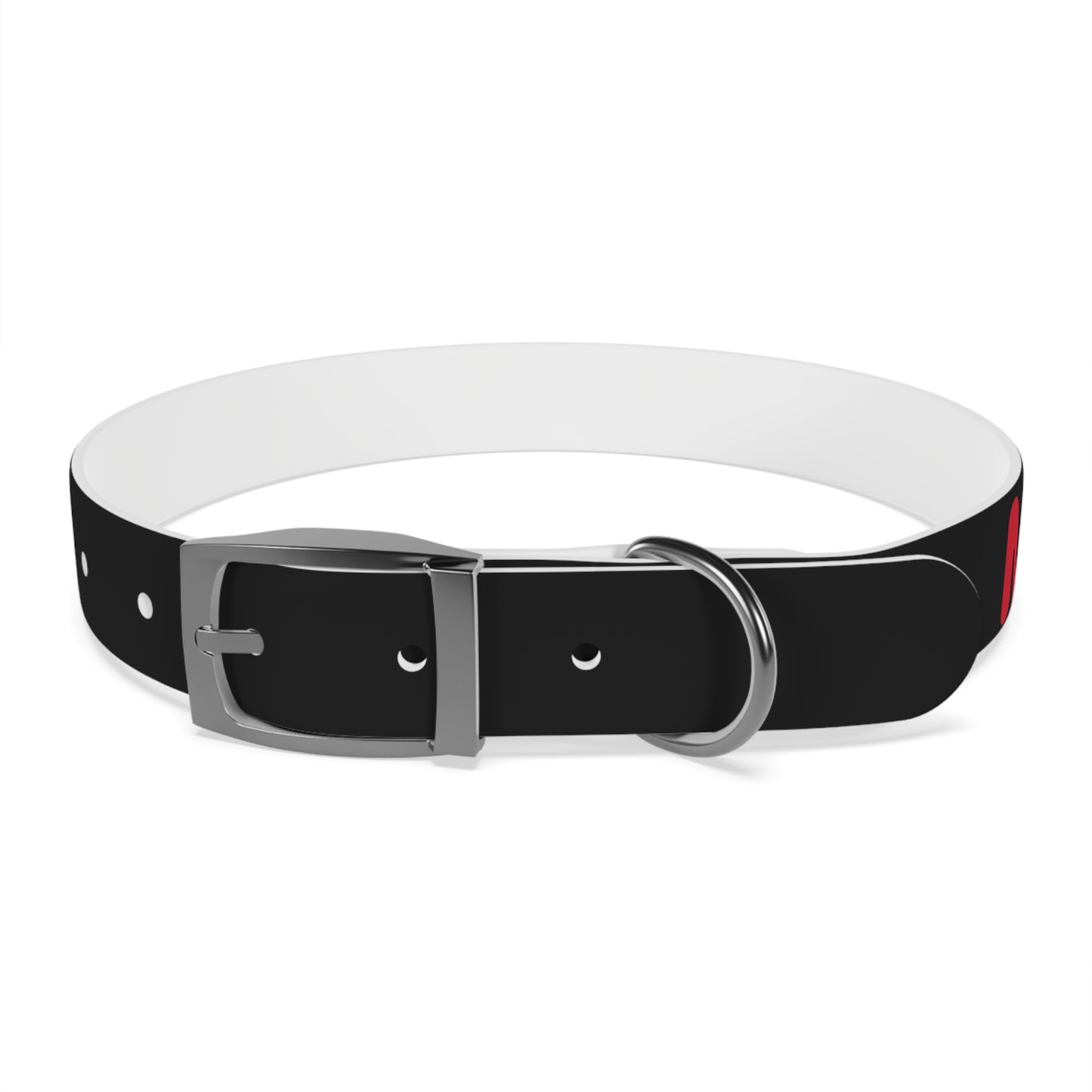 Making The Rounds Black with Red Dog Collar