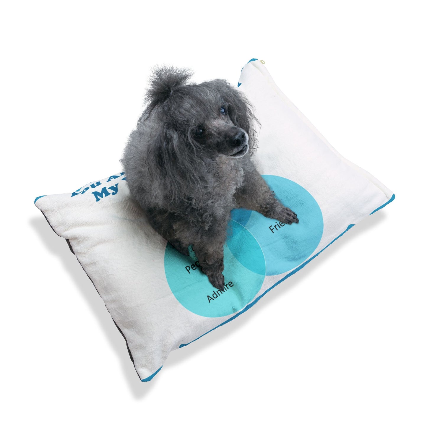 You Are The Center Of My Venn Diagram Bright Blue Pet Bed