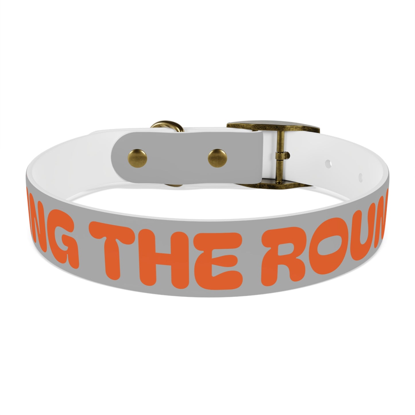 Making The Rounds Grey with Orange Dog Collar