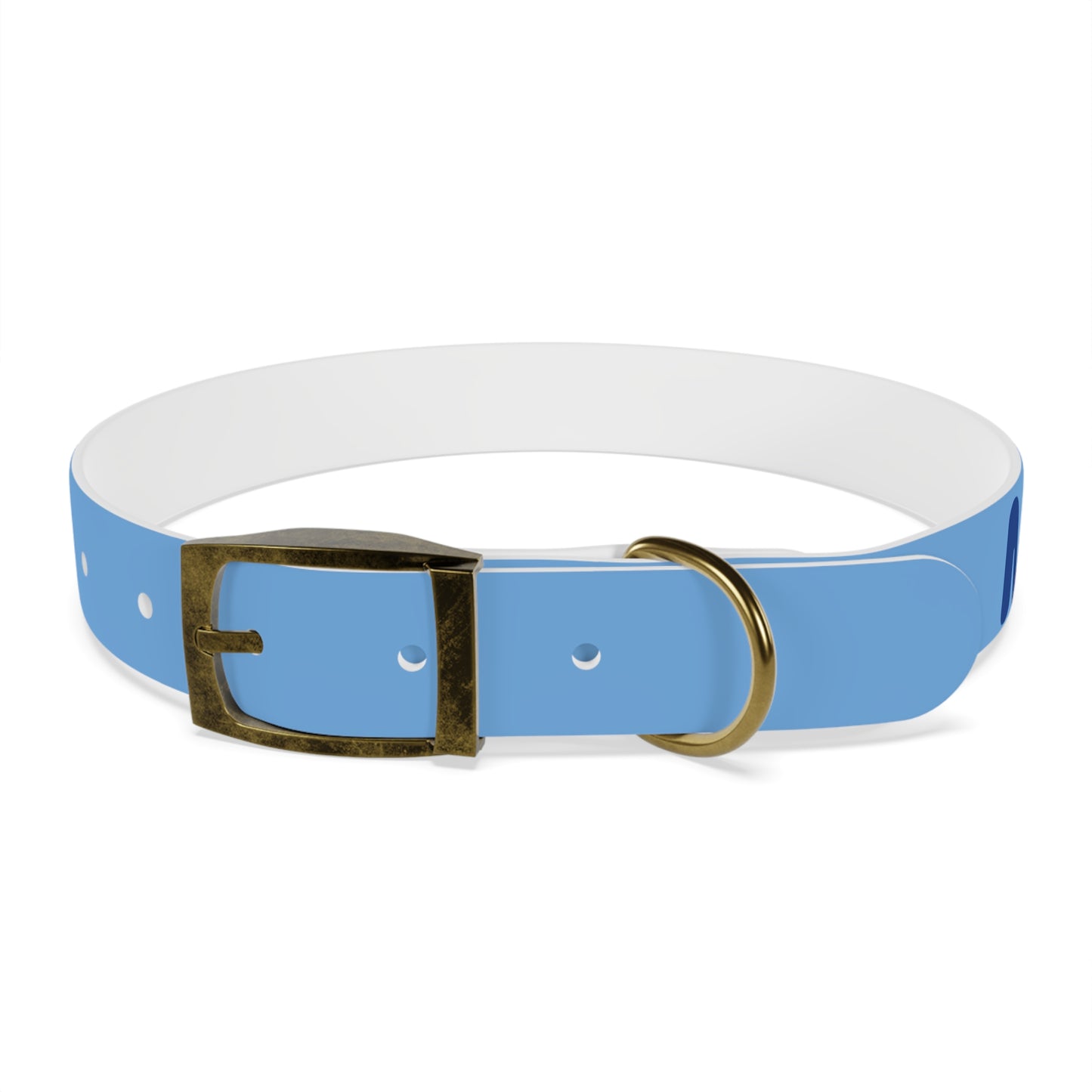 Making The Rounds -- Blue Dog Collar