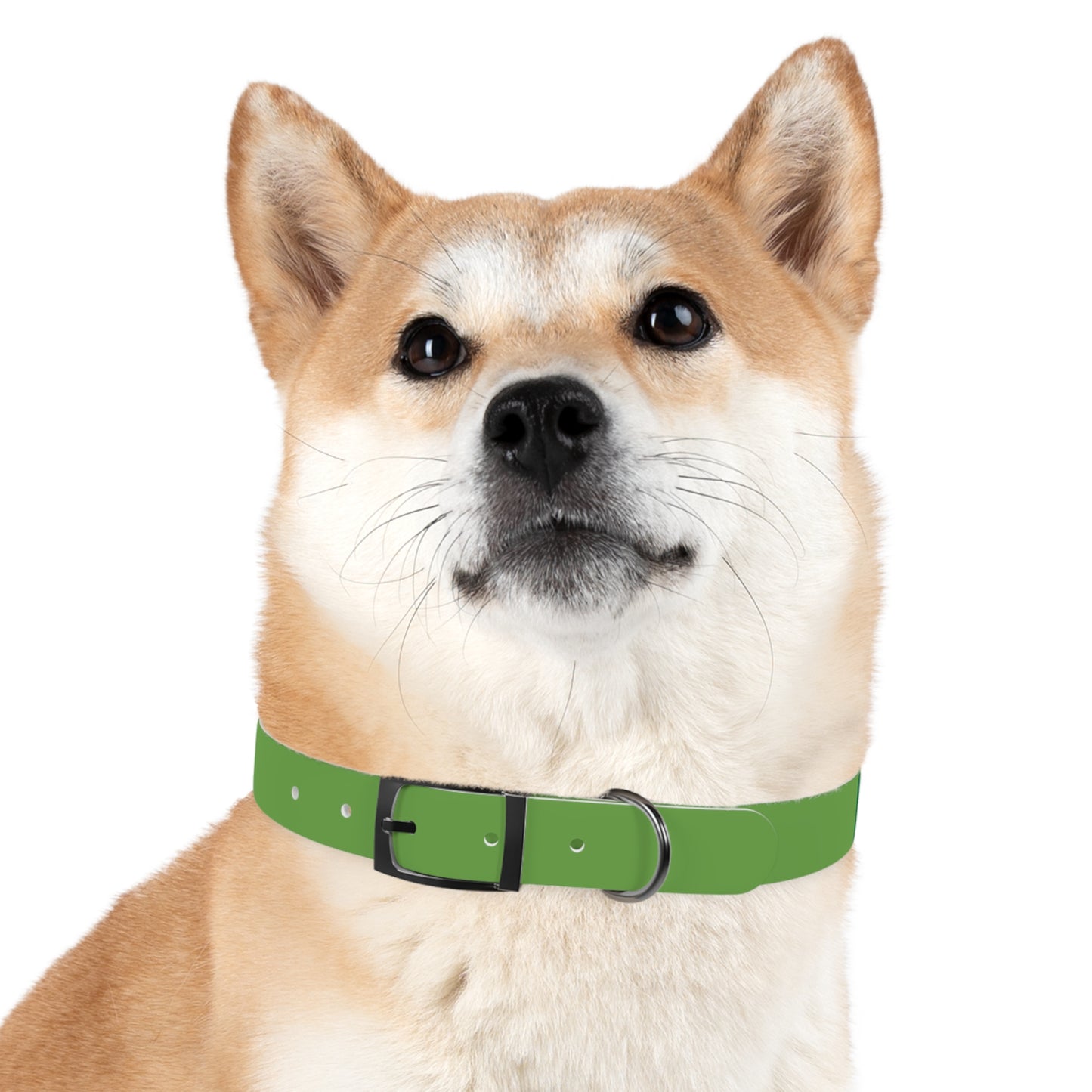 Making The Rounds Green Dog Collar